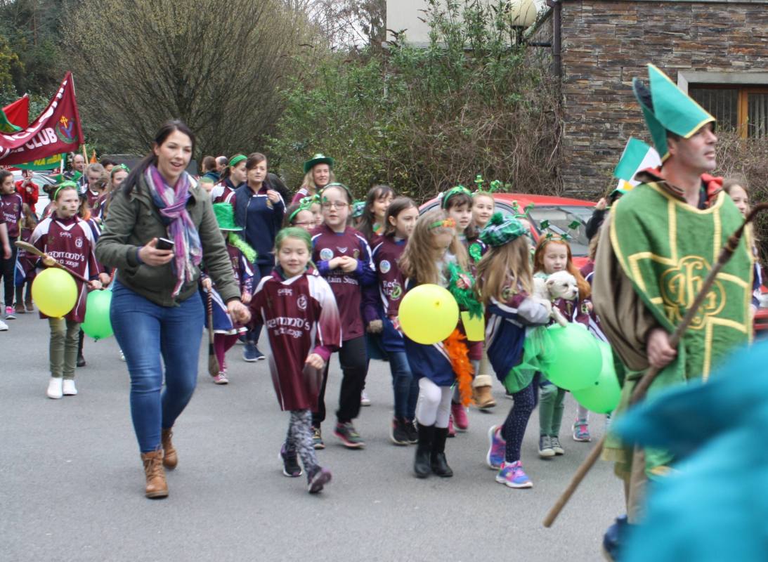 ../Images/St Patrick's Day bunclody 2017 033.jpg